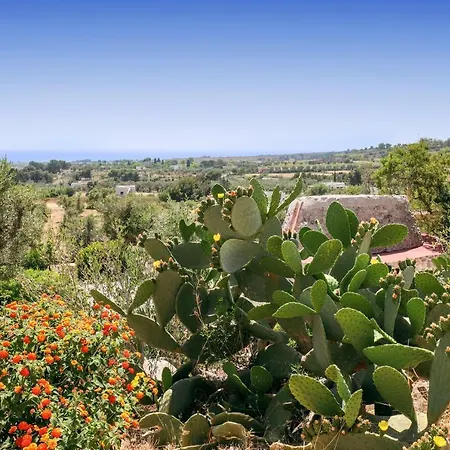 Romantica Liama Piccola *