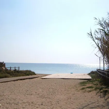 Romantica Liama Piccola Salve