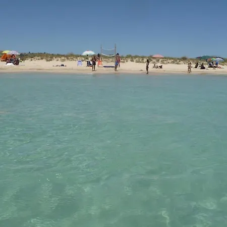 Romantica Liama Piccola *