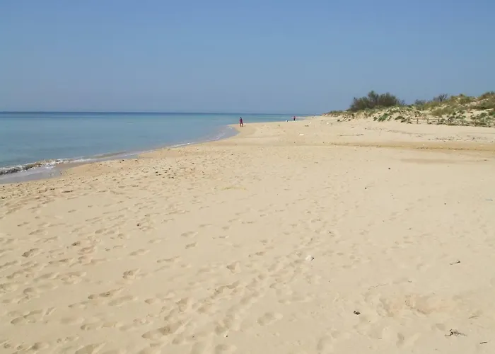 Romantica Liama Piccola * Salve