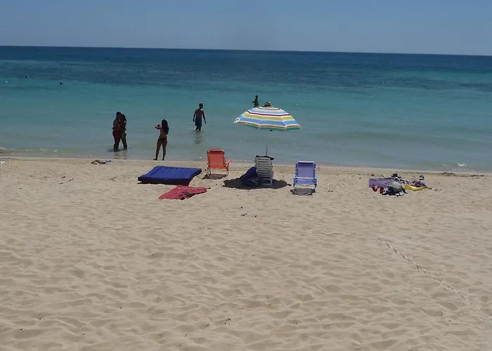 Romantica Liama Piccola Daire *